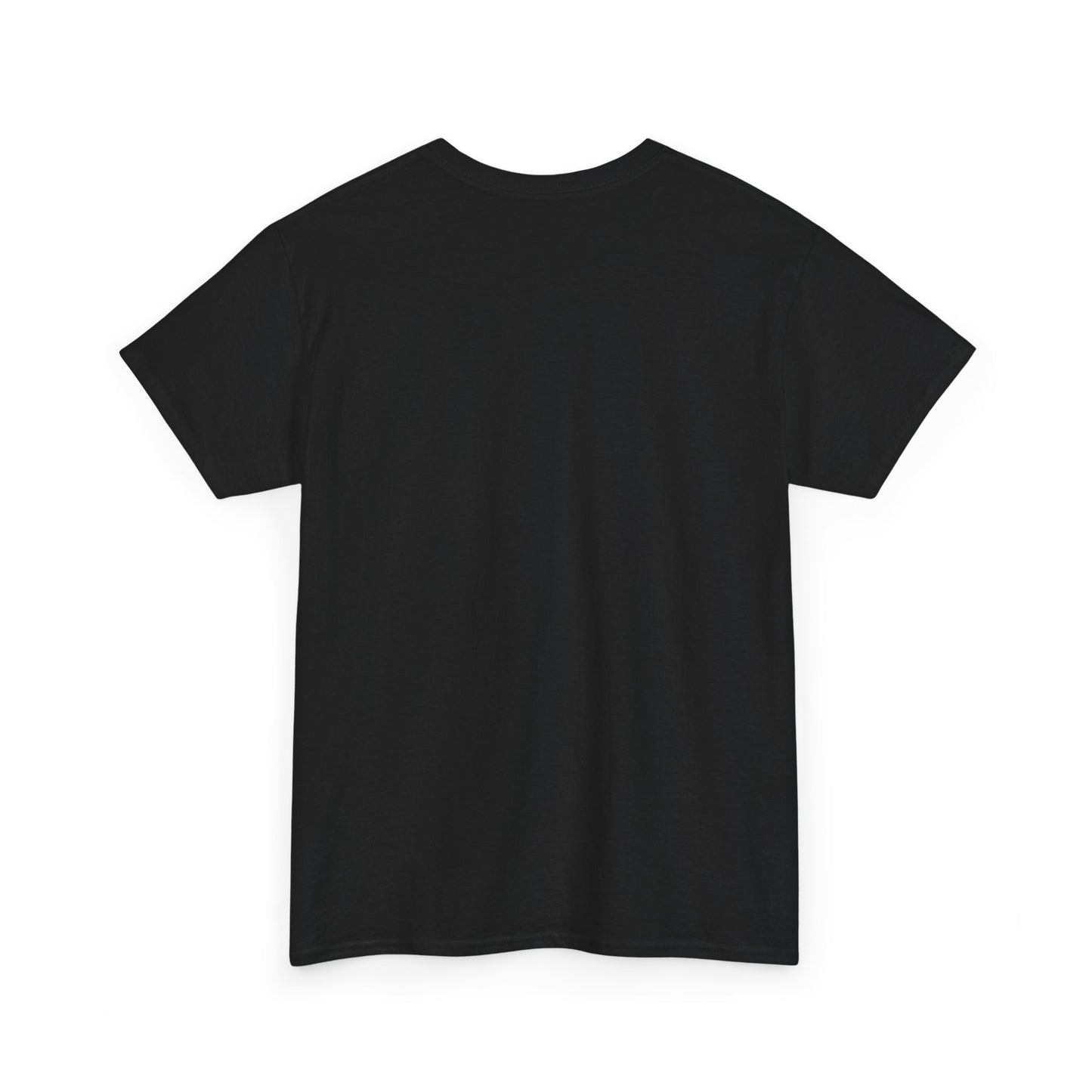 R2R Plain T-shirt (100% cotton)