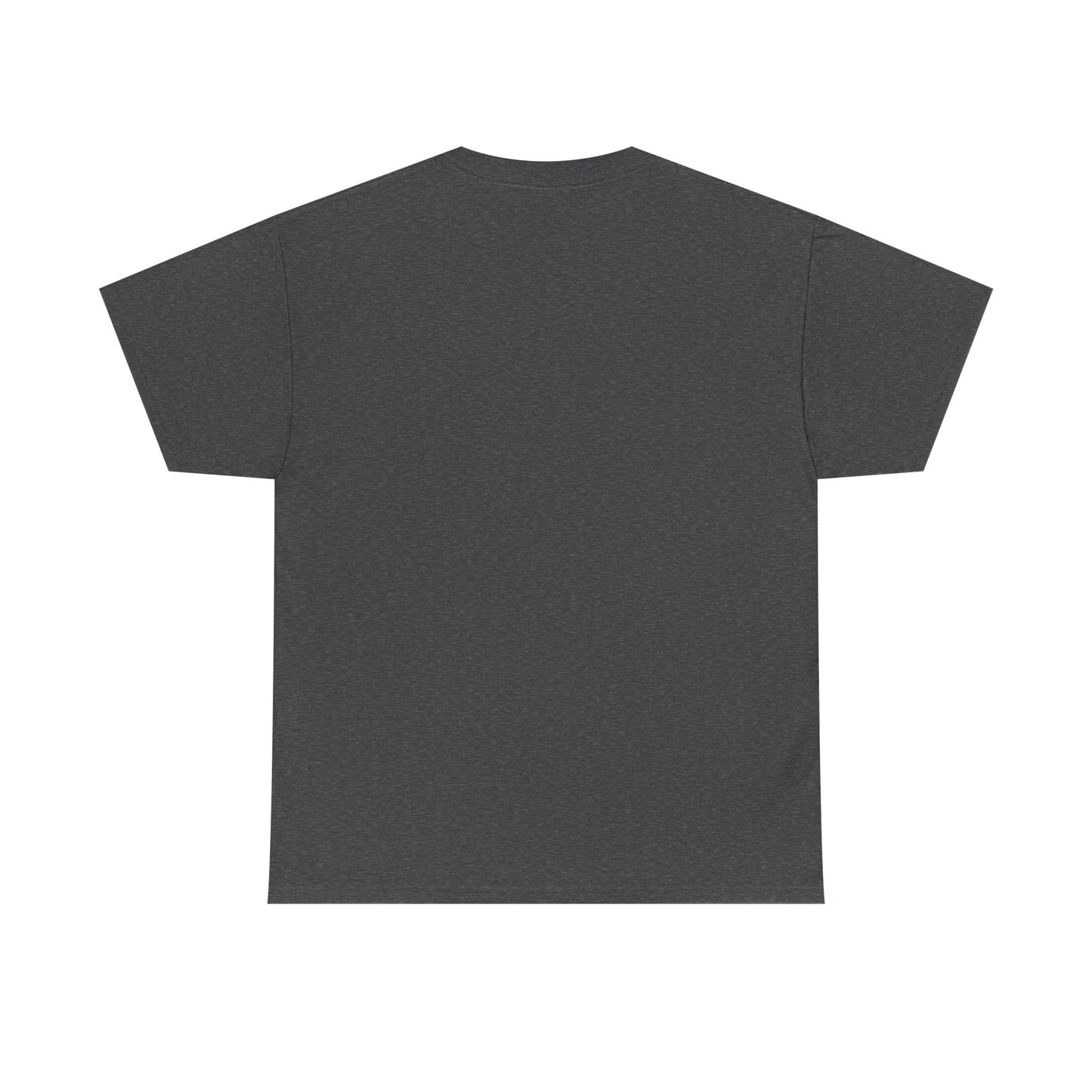 R2R Plain T-shirt (100% cotton)