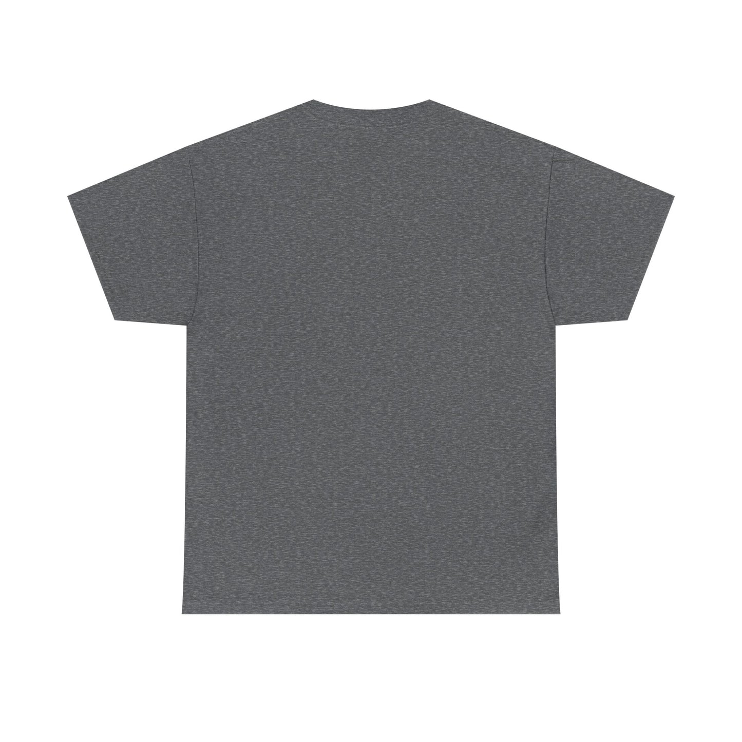 R2R Plain T-shirt (100% cotton)