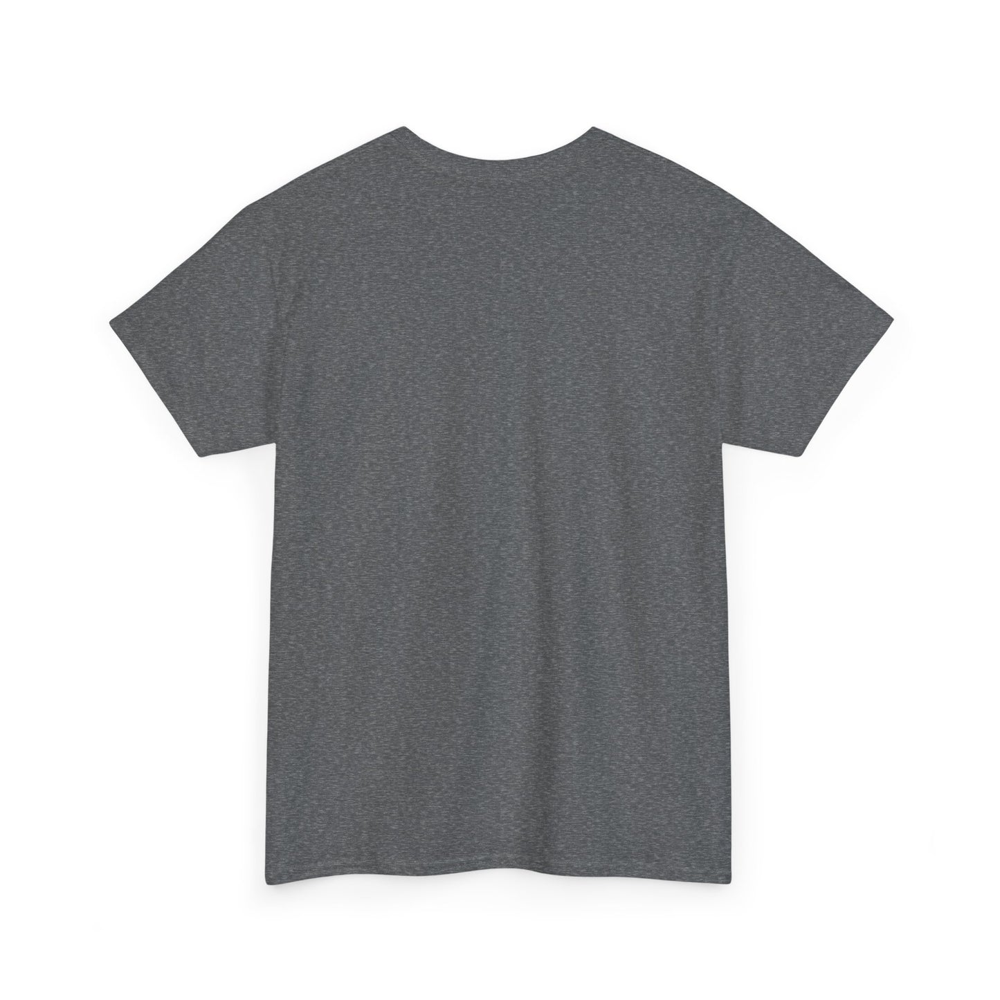 R2R Plain T-shirt (100% cotton)