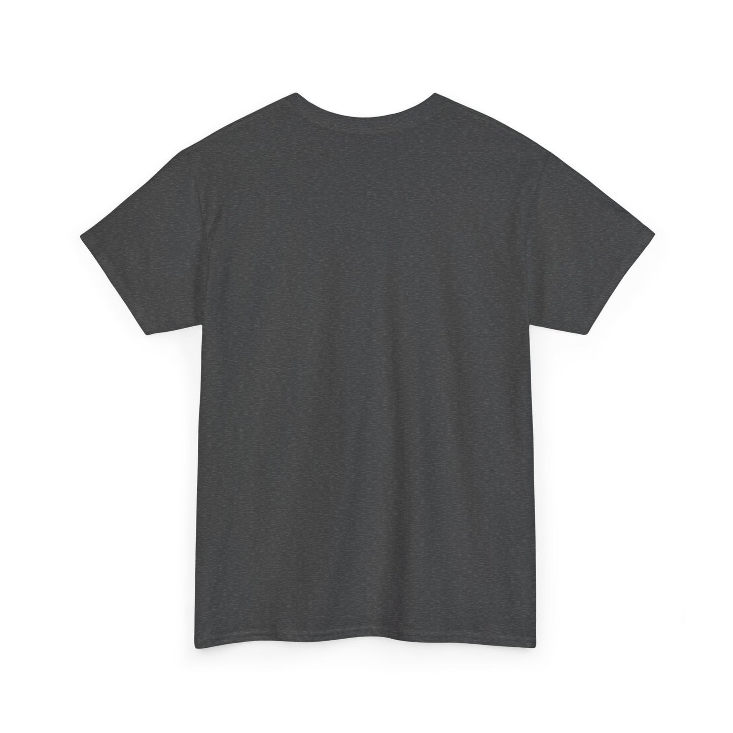 R2R Plain T-shirt (100% cotton)