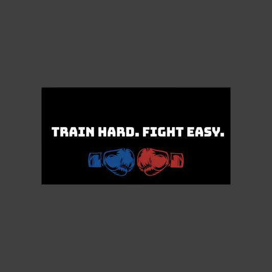 Train Hard Fight Easy bumper sticker